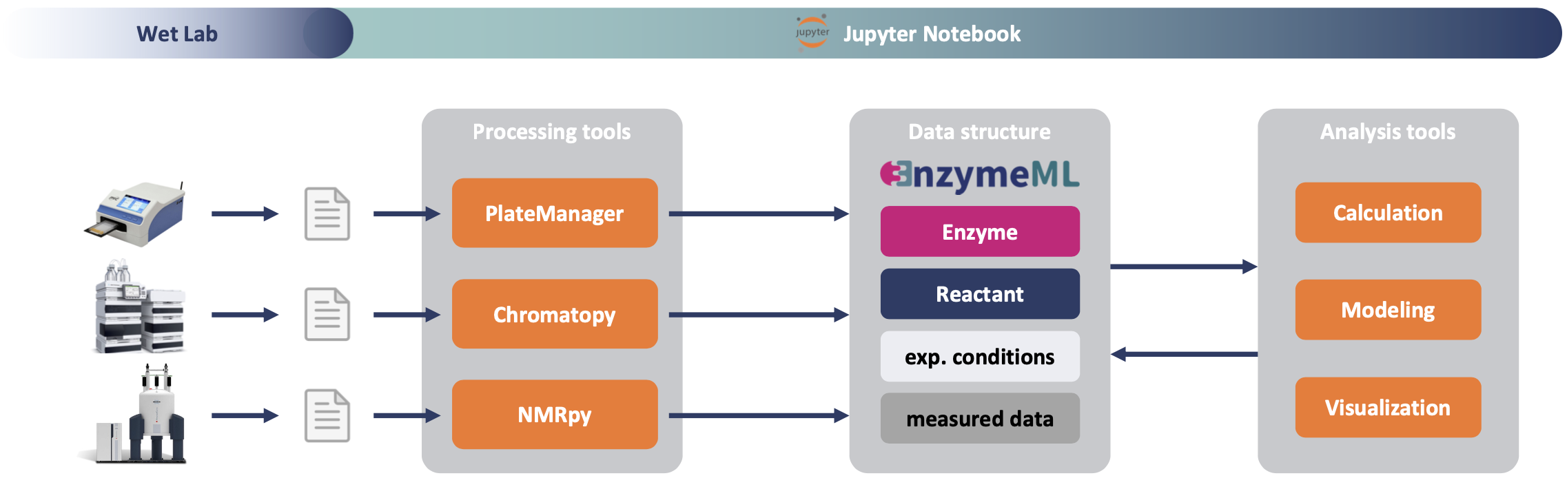 EnzymeML Training Course